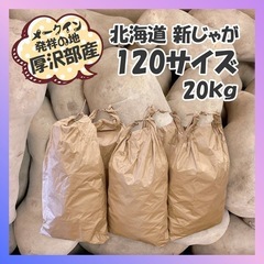 北海道産 メークイン発祥の地 厚沢部町 訳あり じゃがいも 約2...