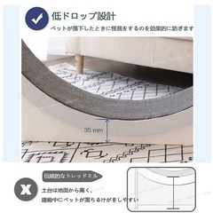 キャトウォーク　ランニングマシン　猫　ワンチャンにもの画像