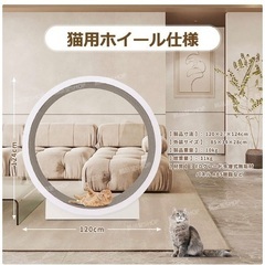 キャトウォーク　ランニングマシン　猫　ワンチャンにもの画像