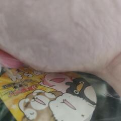 からめる　GBぬいぐるみ　ウーパールーパーの画像