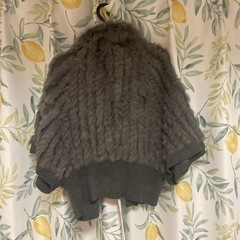 毛皮　アウターの画像