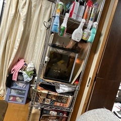 収納用品引っ越しのためお安くお譲りしますの画像