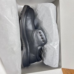 ミドリ安全靴　size 25 ①
の画像