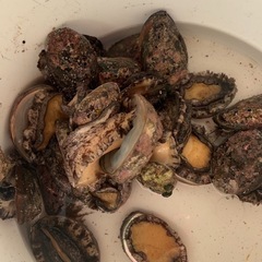 魚食いたい人