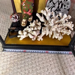 琉球人形　の画像
