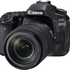 CANON EOS 80Dレンズ交換式デジタルカメラの画像