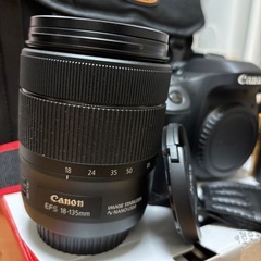 CANON EOS 80Dレンズ交換式デジタルカメラの画像