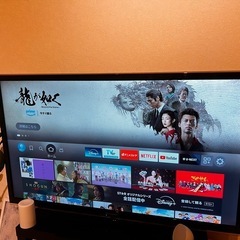 Panasonic VIERA TH-L50C60 液晶テレビ55V型