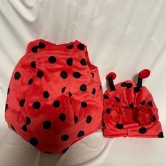 てんとう虫🐞の画像