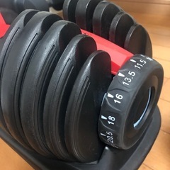ダイヤル式ダンベル+ベンチセット(ヨガマット付けます)の画像