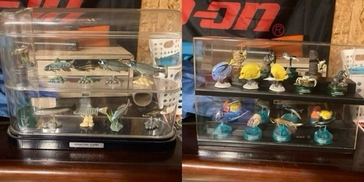 海洋堂？　生物フィギュア　ケース付　まとめて