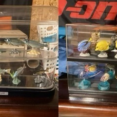海洋堂？　生物フィギュア　ケース付　まとめて
