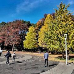 東京代々木公園⛲ポートレート撮影モデル募集🎵の画像
