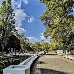 東京代々木公園⛲ポートレート撮影モデル募集🎵の画像