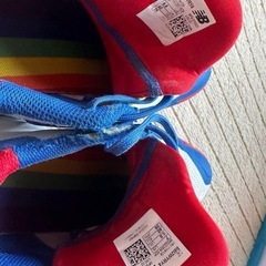 バッシュの画像