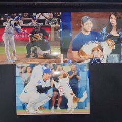 僕の「大谷翔平の写真3枚」とあなたの忘却バッテリー全巻を物々交換...
