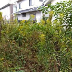【草刈り 除草】お庭スッキリ！雑草にお困りの方、お手伝いさせてください！ − 奈良県