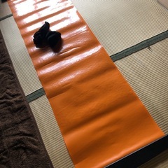 さらに値下げました。フィットネス？　体幹トレーニング