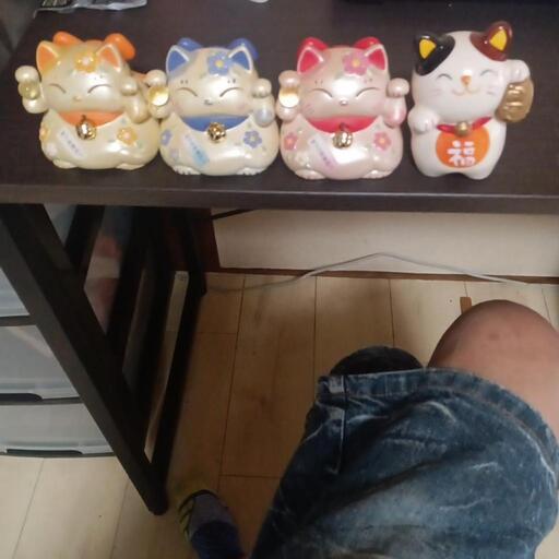 陶器可愛い招き猫