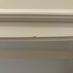 Francfranc ドレッサーの画像