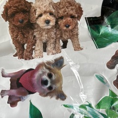 新品　ウォールステッカー　植物　犬の画像