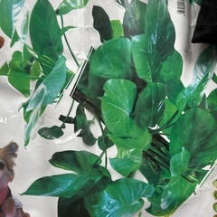 新品　ウォールステッカー　植物　犬の画像