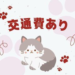 ≪高時給1,700円🍃≫3t配送ドライバー🚛日額保障で収入も安定🥰日払いOK👌A11K0007-1(1)の画像