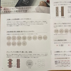 白髪用シャンプー2個の画像
