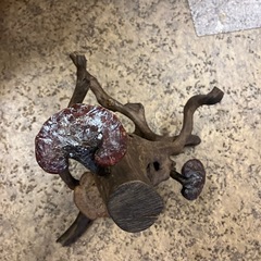 木製オブジェの画像