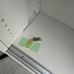 棚　オフィス用棚の画像