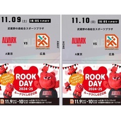Bリーグ アルバルク東京vs広島ドラゴンフライズ こども価格有