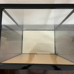 人形ガラスケースの画像