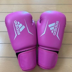 キックボクシング　　グローブ🥊