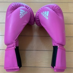 キックボクシング　　グローブ🥊の画像