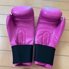 キックボクシング　　グローブ🥊の画像
