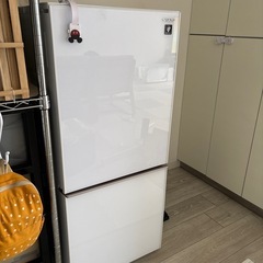 【11/9の引き取り限定】panasonic 冷蔵庫