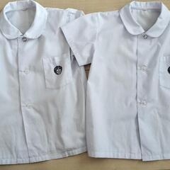 竜谷学園　制服　夏ブラウス　Lサイズ　男の子　2枚