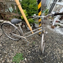 岩内町　自転車