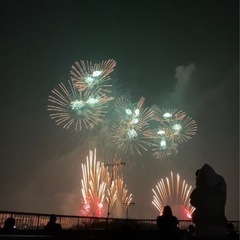 土浦全国花火競技大会の画像