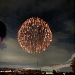 土浦全国花火競技大会の画像