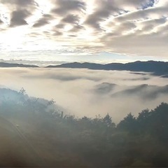 野迫川村の雲海見に行きませんかぁ？✨☁️