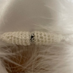 ファーショール　　成人式の画像