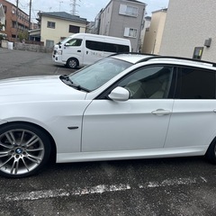 BMW 320i アルピンホワイト 車検1年有りの画像