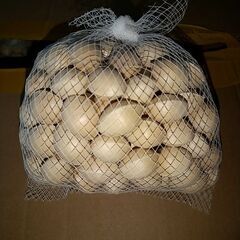 銀杏３００ｇ入り。１１０〜１２０粒入り。