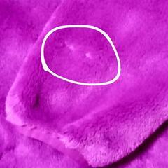 THE NORTH FACE デナリフーディー/フリースジャケットの画像