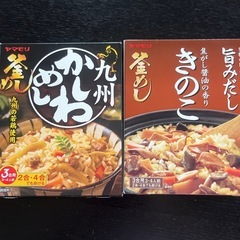 釜飯　かしわときのこセット