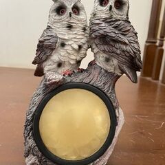 枯れ木のフクロウ