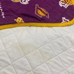 nba レイカーズ  敷きパッド　しまむらの画像