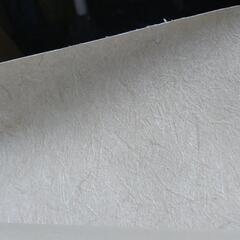 壁紙の画像