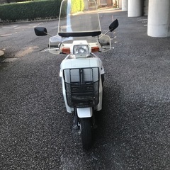 決まりました‼️
エンジンキック1発‼️ホンダジャイロUPの画像